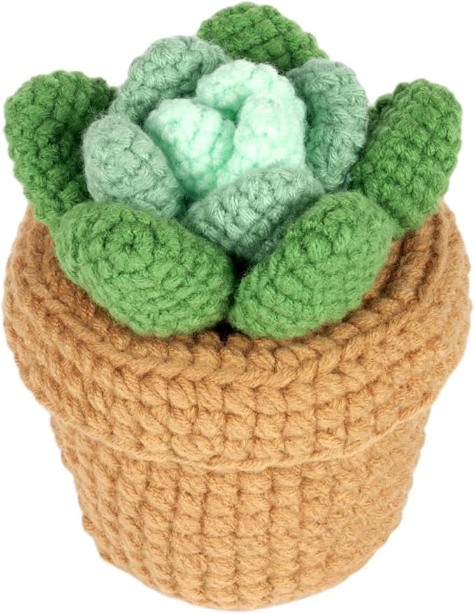 Finnacy Crochet Kit for Beginners Adults,Potted Succulent Plant Crochet Storage Box, All You Need in, Include Crochet Yarns, Hook, Step-by-Step Video, Instruction and Crochet Accessories