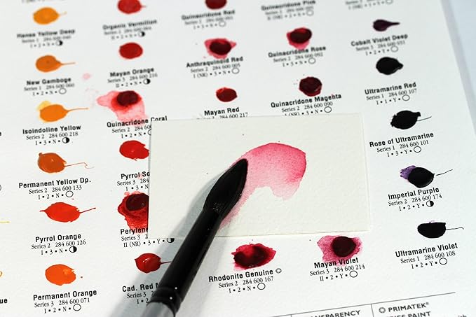 DANIEL SMITH 001900501 Extra Fine Watercolor 66-Dot Try-It Card, Multi Color
