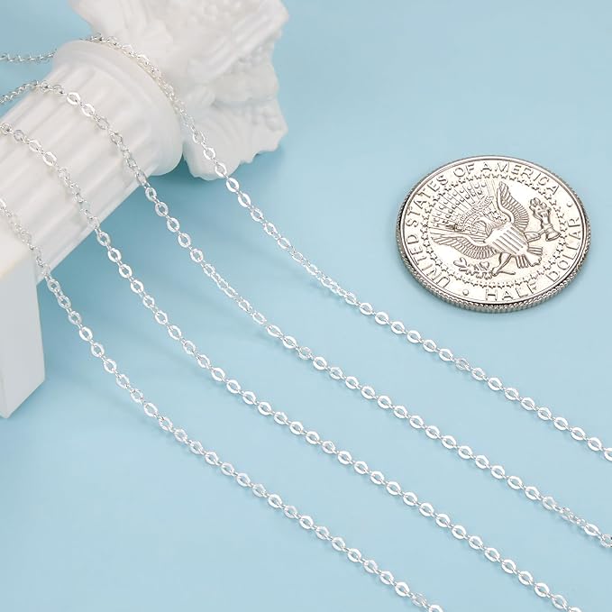 Crisjanggo 2 Rolls 65.6 Feet Stainless Steel Silver Chains for Jewelry Making Silver Plated Chain Roll Necklace Bracelet Jewelry Supplies for Women DIY