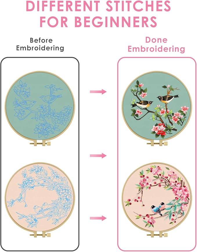 TINDTOP Embroidery Kit for Adult, Owl Embroidery Kit for Beginners Include Embroidery Cloth Hoops Threads for Craft Lover Hand Stitch with Embroidery Skill Techniques (Bird)