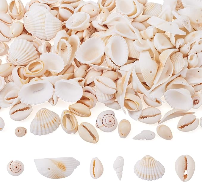 Cheriswelry 210pcs/box 21.5-24.5mm Natural Shell Making Finding Kit Ocean Beach Style Seashell Beads Pendants for DIY Necklace Bracelet Jewelry Making Hole:1.5-1.6mm