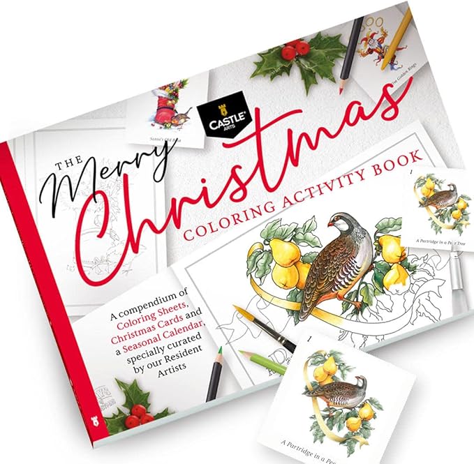 Castle Arts Christmas Colouring Book | Compendium of Cards, Calendar and Scenes Curated to Lift the Spirit | with Colour Reference Guide | No Show-Thru Artist Grade Paper | Frameable Landscape A4 Size
