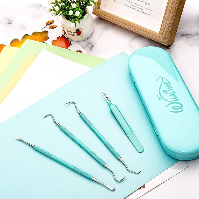 Whaline Weeding Vinyl Tools 4 Pieces Precision Stainless Steel Weeder Tool with Case Vinyl Craft Paper Craft Tool Kit for Silhouettes Cameos Lettering Scraper Hook Spatula Tweezers (Mint Green)