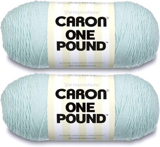 Caron One Pound Pale Green Yarn - 2 Pack of 454g/16oz - Acrylic - 4 Medium (Worsted) - 812 Yards - Knitting/Crochet