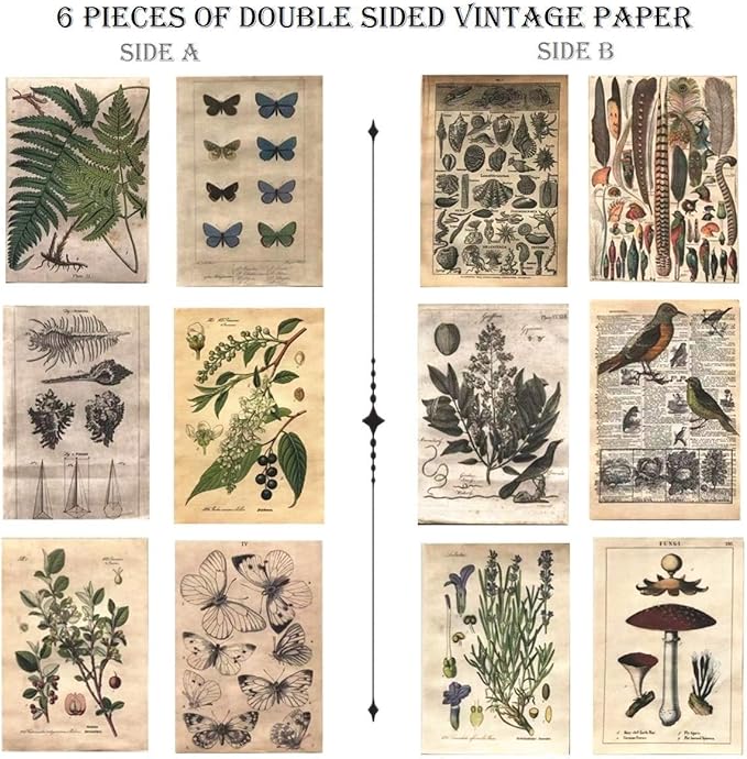 DESEACO Vintage Aesthetic Posters for Wall Decor, Green Botanical Art for Teen Girls’ Rooms, Cute Plant Journaling Supplies and Nature-Inspired Collage Kit