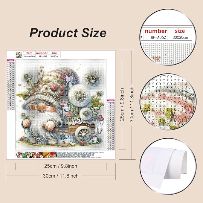 hill froeistung Gnome Diamond Art Painting Kits for Adults,Dandelions Diamond Painting Kits for Beginners,Trolleys Diamond Art Kits for Home Decor12×12inch