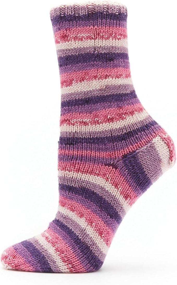 Premier Yarns Fruits, Acrylic Sock Yarn, 2-Pack Bundled with Bella's Crafts Stitch Markers (Plum)