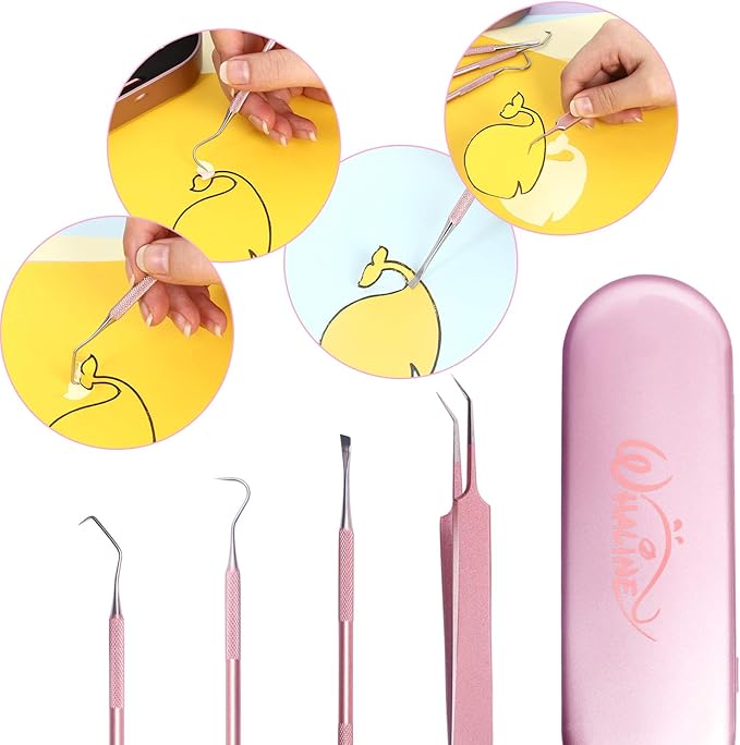 Whaline Weeding Vinyl Tools 4 Pieces Precision Stainless Steel Weeder Tool with Case, Vinyl Craft Paper Craft Tool Kit for Silhouettes Cameos, Lettering Scraper Hook Spatula Tweezers