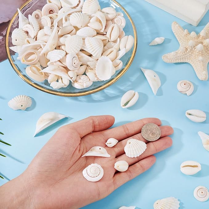 Cheriswelry 210pcs/box 21.5-24.5mm Natural Shell Making Finding Kit Ocean Beach Style Seashell Beads Pendants for DIY Necklace Bracelet Jewelry Making Hole:1.5-1.6mm