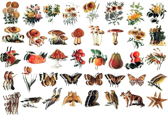 Esweny 200PCS Vintage Scrapbooking Supplies Kit for Journaling, Scrapbook Sticker Paper Pack for Junk Journal Planners Aesthetic Cottagecore Room Decor Wall Art Collage Album