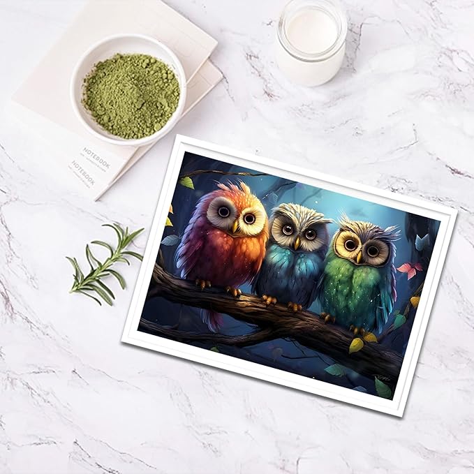 SENQAO Owl Diamond Painting Kits for Adults, 3 Colorful Owl DIY 5D Diamond Art Kits Full Drill Diamond Dots Paintings with Diamonds Gem Art and Crafts Home Decor 12x16inch