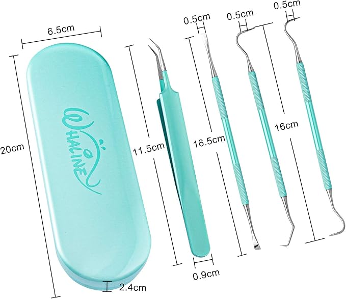 Whaline Weeding Vinyl Tools 4 Pieces Precision Stainless Steel Weeder Tool with Case Vinyl Craft Paper Craft Tool Kit for Silhouettes Cameos Lettering Scraper Hook Spatula Tweezers (Mint Green)