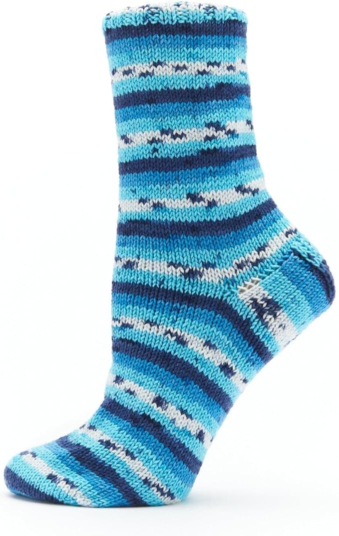 Premier Yarns Fruits, Acrylic Sock Yarn, 2-Pack Bundled with Bella's Crafts Stitch Markers (Blueberry)