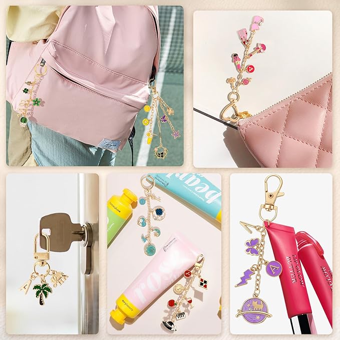 Zefy 552Pcs Charms Lip Gloss Keychain Making Kit, Gold Bag Charm Kit, Including 214 Charms 24 Key Chain Clips with Organizer Box, DIY Craft Supplies for Jewelry Making and Gifts