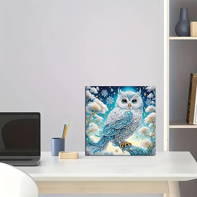 KUFWKEY DIY 5D Partial Diamond Painting Kit for Beginners, Owl Diamond Art Kits for Adults,Special Shaped Crystal Sparkling Art, Frameless Diamond Mosaic Gem Art for Home & Office Decor,12X12 inch