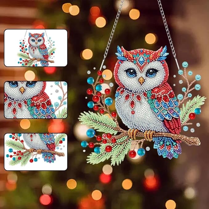 SHLUHA Diamond Art Kits for Adults Diamond Art Christmas Owl Design Special Shape Acrylic Hanging Pendant Crystal Mosaic Home Wall Door Window Decor with Chain Handmade Christmas Gift(LL075)