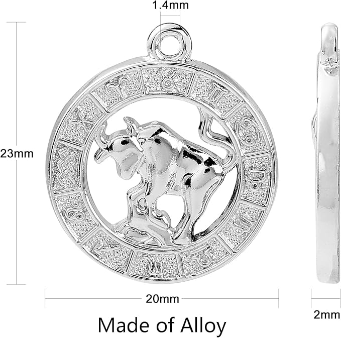 DanLingJewelry 24Pcs Tibetan Zodiac Charms Twelve Constellation Sign Horoscope for Jewelry Making DIY, FIND-CJC0017-13P-CHH