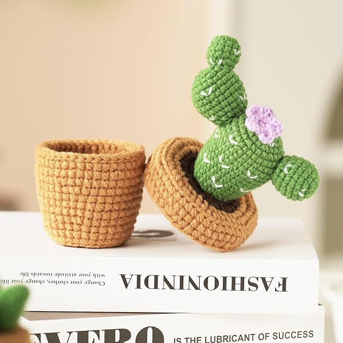 Dasonwin Crochet Kit for Beginners,Crochet Cactus with Step-by-Step Tutorials,Beginner Crochet Kits for Adults,Gift for Girls and Women.