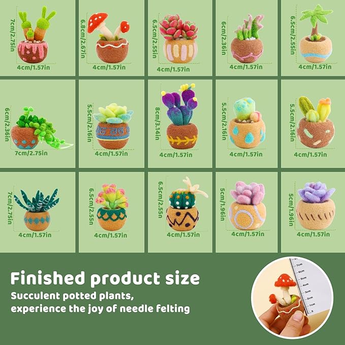 Needle Felting Kit, 15 Pcs Succulent Beginner Needle Felting Kit, Needle Felting Tools, Wool Felting Kit Including Wool Roving, Foam Mat, Felting Needles and Instructions for Diy Felting Starters