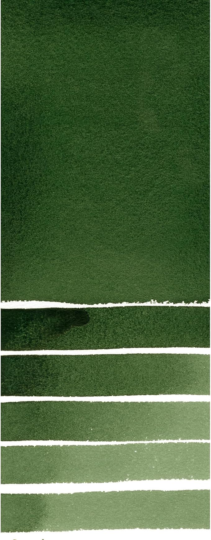 Daniel Smith Extra Fine Watercolor Paint, 5ml Tube, Deep Sap Green, 284610175