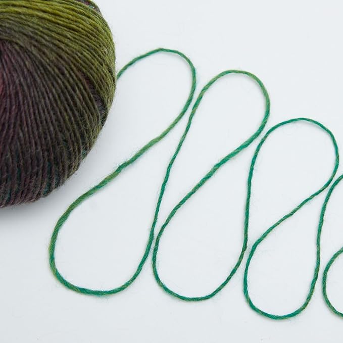 NICEEC 2 Skeins Rainbow Soft Yarn 100% Wool Gradient Multi Color Yarn for Crocheting Knit Total Length 180m×2(196yds×2,50g×2)-13#