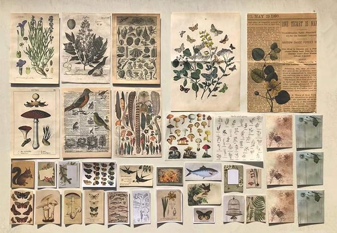 DESEACO Vintage Aesthetic Posters for Wall Decor, Green Botanical Art for Teen Girls’ Rooms, Cute Plant Journaling Supplies and Nature-Inspired Collage Kit