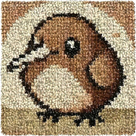 Numptain Latch Hook Kits for Adults,DIY Rug Crafts Bird Pattern Color Printed Canvas,Latch Hook Kits for Beginners Handmade Needlework Crafts Home Decoration,12"x12" NT2