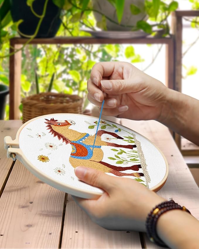 TINDTOP Embroidery Kit for Adult, 3 Pack Embroidery DIY Starter Kit, with Stamped Patterns, Hoop, Tools, Colorful Threads with Needles, Instructions