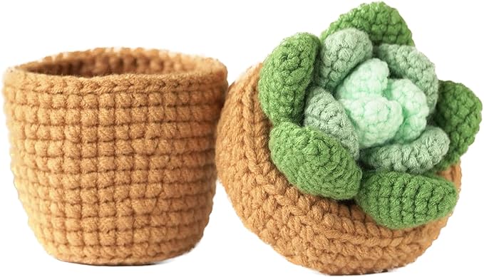 Finnacy Crochet Kit for Beginners Adults,Potted Succulent Plant Crochet Storage Box, All You Need in, Include Crochet Yarns, Hook, Step-by-Step Video, Instruction and Crochet Accessories