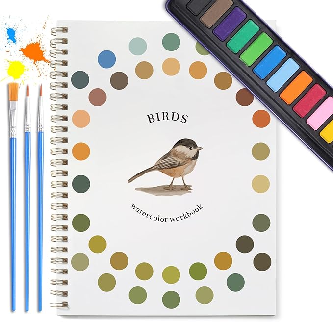 Dancart Beginner Watercolor Painting Set, 12 Colors in Rustproof Tin Box with 3 Brushes, Outlined Sketchbook & Guide for Adults, Teens (1)