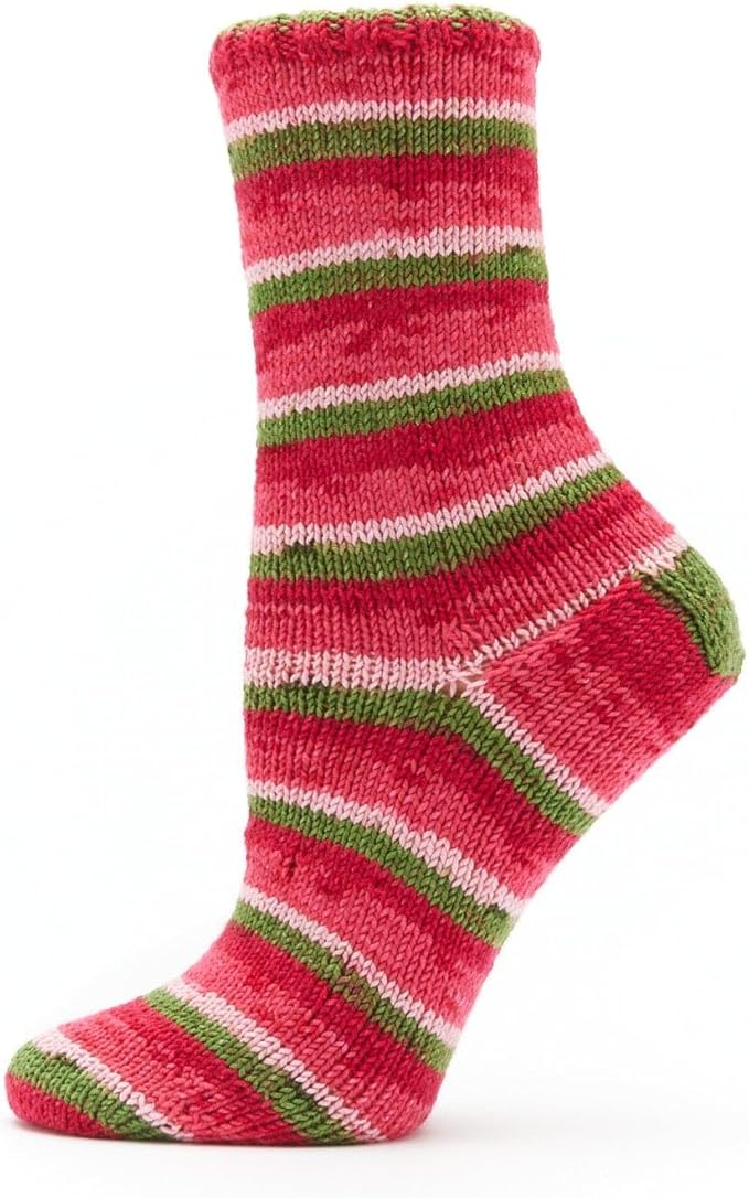 Premier Yarns Fruits, Acrylic Sock Yarn, 2-Pack Bundled with Bella's Crafts Stitch Markers (Guava)