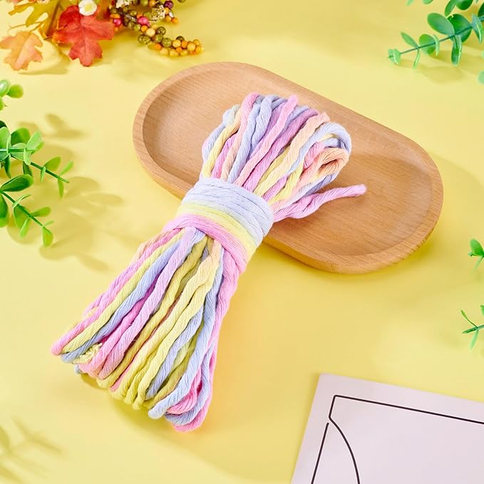 21.87 Yards Rainbow Single Strand Macrame Cord 3.5mm Gradient Colored Cotton Cord Colorful Twine Bohemia Soft Cotton Rope Yarn for DIY Crafts Knitting Crochet Wall Plant Hanger Home Project