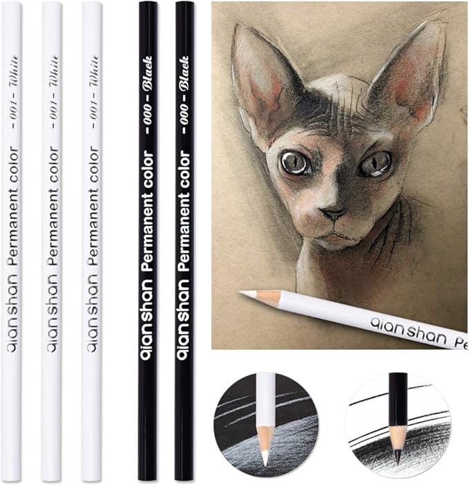 qianshan 5Pcs Black White Color Pencils - Permanent Color Drawing Pencil Oil-based Wooden Colored Pencils for Artist and Beginner Art Projects, 2 Colors of 3 White, 2 Black
