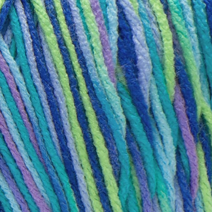 Red Heart Super Saver Jumbo Wildflower Yarn - 2 Pack of 283g/10oz - Acrylic - 4 Medium (Worsted) - 482 Yards - Knitting/Crochet