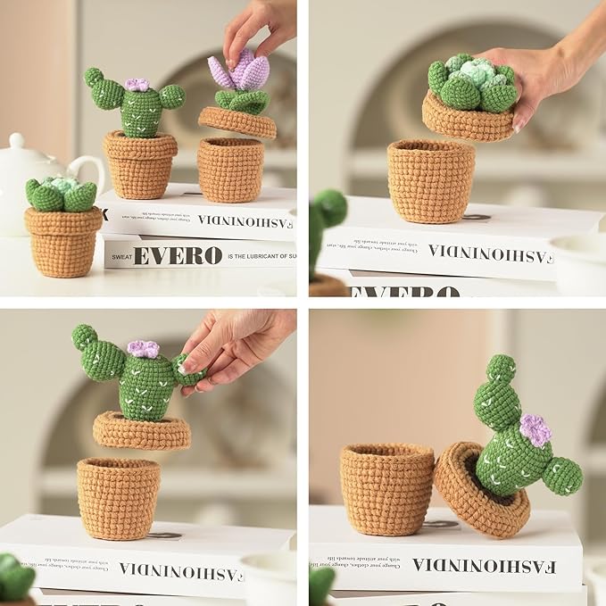 Dasonwin Crochet Kit for Beginners,Crochet Cactus with Step-by-Step Tutorials,Beginner Crochet Kits for Adults,Gift for Girls and Women.