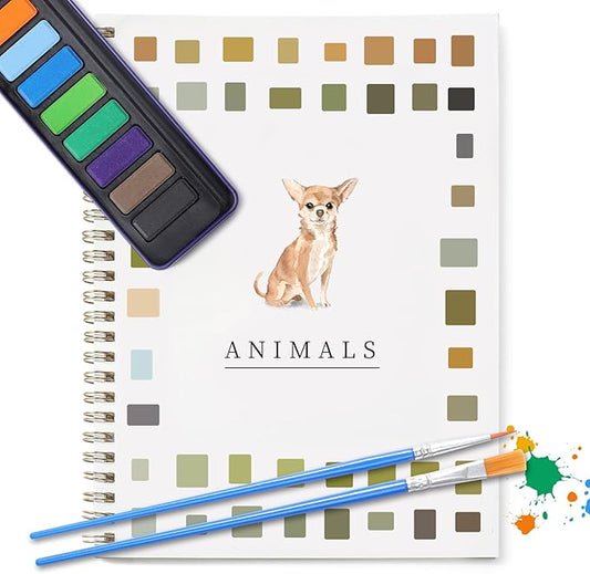 Dancart Watercolor Kit with Outlines, 12 Colors Rustproof Box, 3 Brushes & Multi-Theme Painting Kit for Teens & Adults