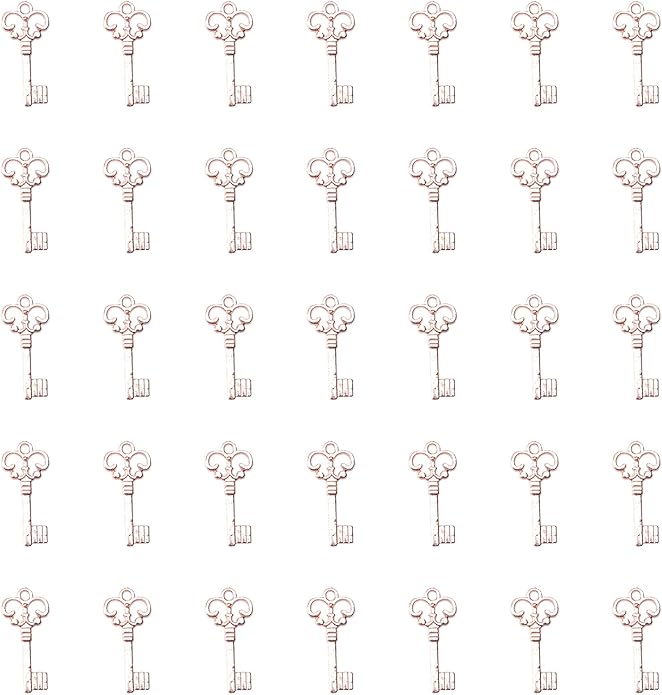 50 Pcs Keys Pendants Beading Supplies Vintage Metal Mini Key Charms for DIY Jewelry Making Kit Handmade Necklace Bracelet Key Ring Chain Earring Party Decoration