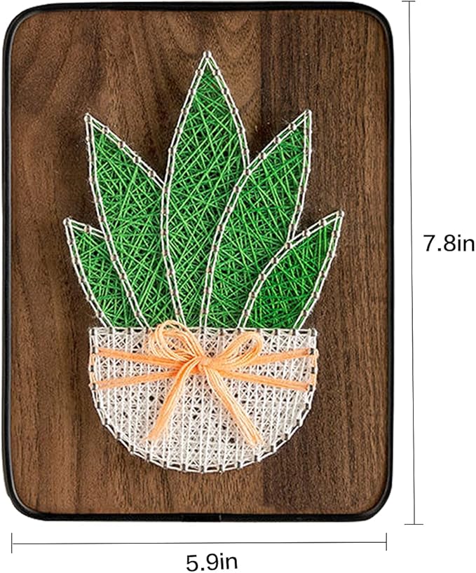 BAZIMA DIY String Art Kit for Beginner,DIY Aloe Potted Craft Kit,Unique Gift,Craft Kit for Holidays