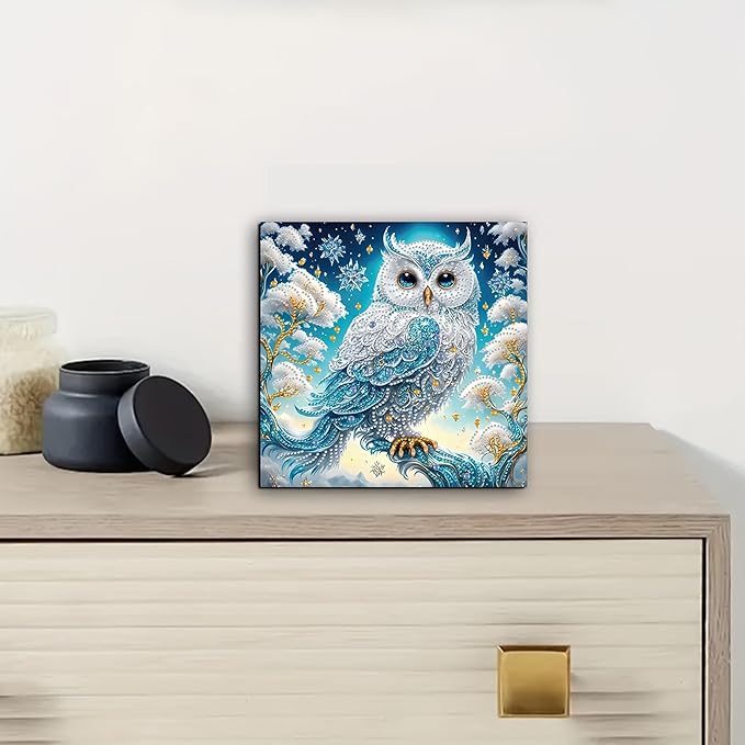 KUFWKEY DIY 5D Partial Diamond Painting Kit for Beginners, Owl Diamond Art Kits for Adults,Special Shaped Crystal Sparkling Art, Frameless Diamond Mosaic Gem Art for Home & Office Decor,12X12 inch