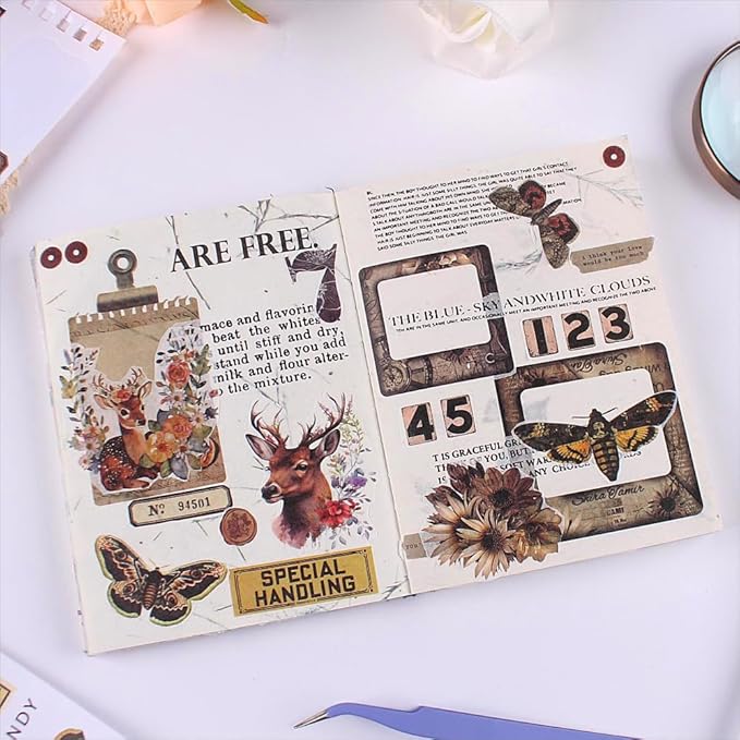 900Pcs Mini Scrapbook Washi Stickers for Journaling, 50 Sheets Vintage Sticker Book, Ephemera for Junk Journal Supplies Bullet Journals, Scrapbooking, DIY Crafts Arts