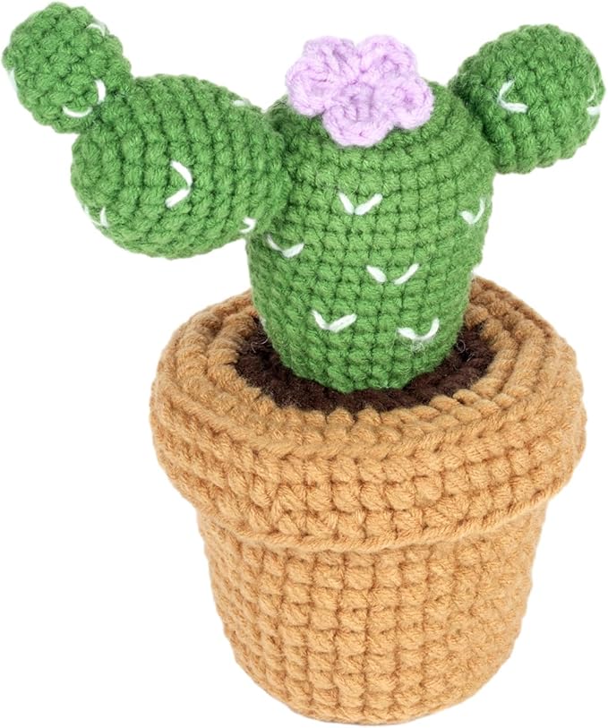 Finnacy Crochet Kit for Beginners Adults, Potted Cactus Plant Crochet Storage Box, All You Need in, Include Crochet Yarns, Hook, Step-by-Step Video, Instruction and Crochet Accessories