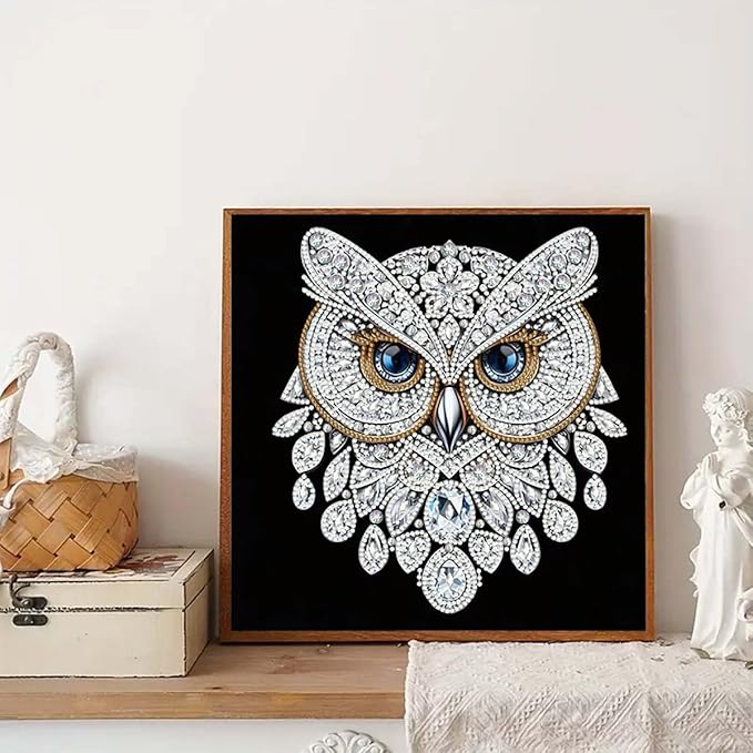 GEMFAMILY Owl Diamond Painting Kits for Adults,5D Diamond Art Kits for Special Shape,DIY Crystal Rhinestones Diamond Dots Gem Art Craft for Home Decor 11.8 x 11.8 inch