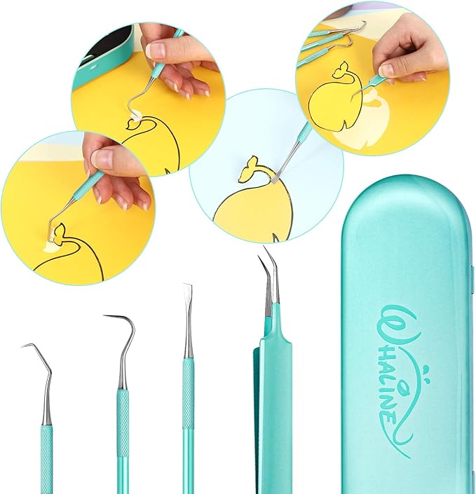 Whaline Weeding Vinyl Tools 4 Pieces Precision Stainless Steel Weeder Tool with Case Vinyl Craft Paper Craft Tool Kit for Silhouettes Cameos Lettering Scraper Hook Spatula Tweezers (Mint Green)