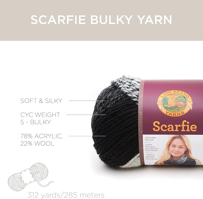 (1 Skein) Lion Brand Yarn Scarfie Bulky Yarn, Black/Hot Pink