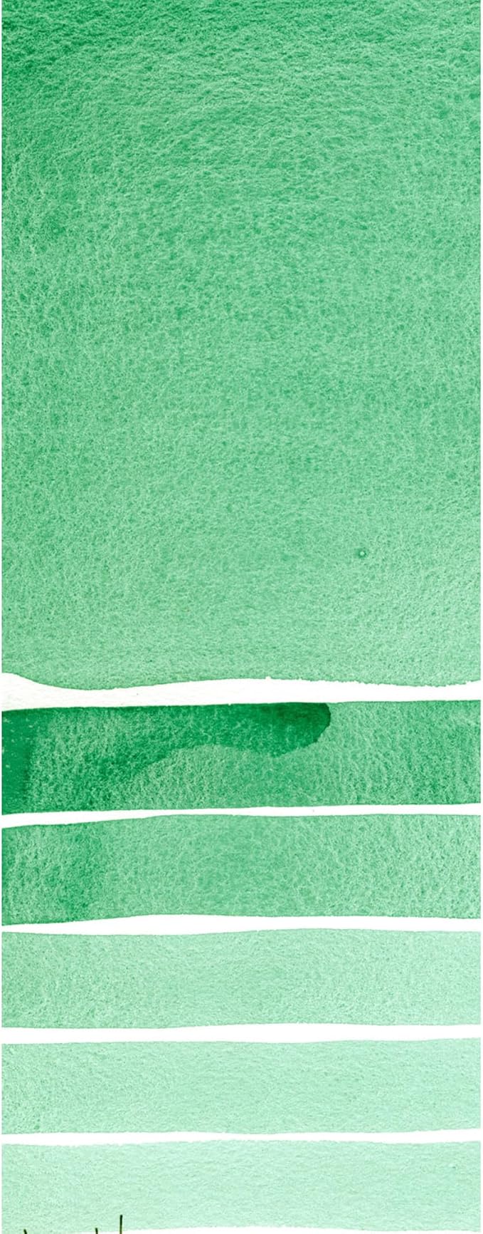 Daniel Smith Extra Fine Watercolor Paint, 5ml Tube, Viridian, 284610112, 0.17 Fl Oz (Pack of 1)
