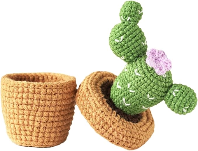 Finnacy Crochet Kit for Beginners Adults, Potted Cactus Plant Crochet Storage Box, All You Need in, Include Crochet Yarns, Hook, Step-by-Step Video, Instruction and Crochet Accessories