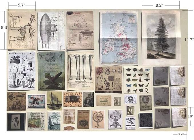 Aesthetic Stickers for Journaling and Scrapbooking, Retro Anatomy Ephemera Paper, DIY Collage Kit Embellishments, Vision Board Supplies for Adults, Vintage Scrapbook Pack
