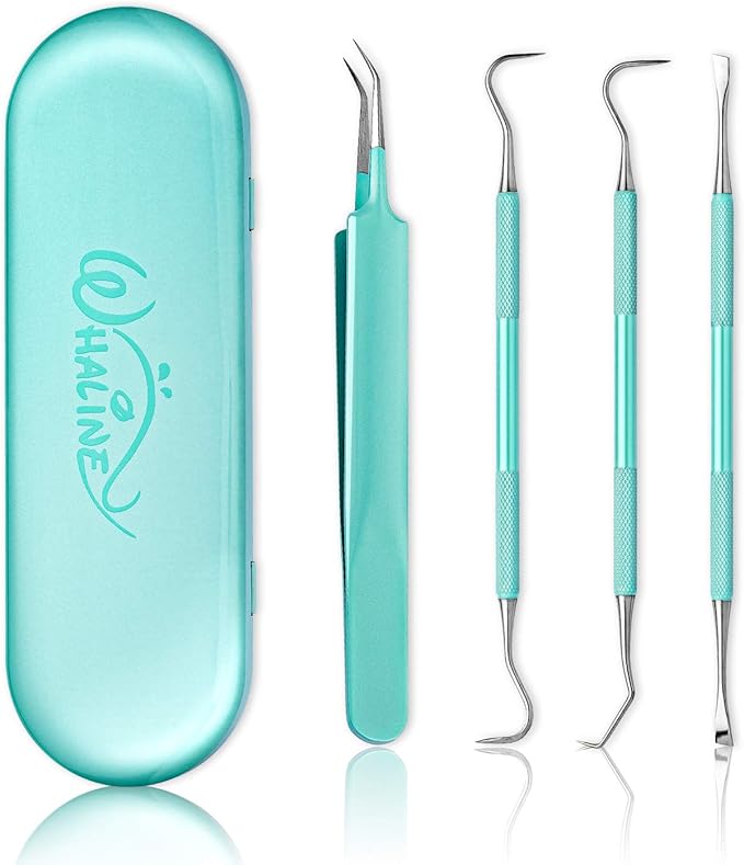 Whaline Weeding Vinyl Tools 4 Pieces Precision Stainless Steel Weeder Tool with Case Vinyl Craft Paper Craft Tool Kit for Silhouettes Cameos Lettering Scraper Hook Spatula Tweezers (Mint Green)