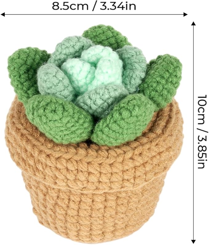 Finnacy Crochet Kit for Beginners Adults,Potted Succulent Plant Crochet Storage Box, All You Need in, Include Crochet Yarns, Hook, Step-by-Step Video, Instruction and Crochet Accessories