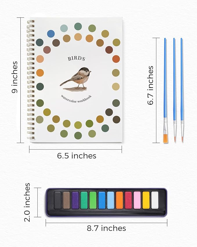 Dancart Beginner Watercolor Painting Set, 12 Colors in Rustproof Tin Box with 3 Brushes, Outlined Sketchbook & Guide for Adults, Teens (1)